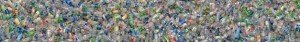 plastic-bottles-large